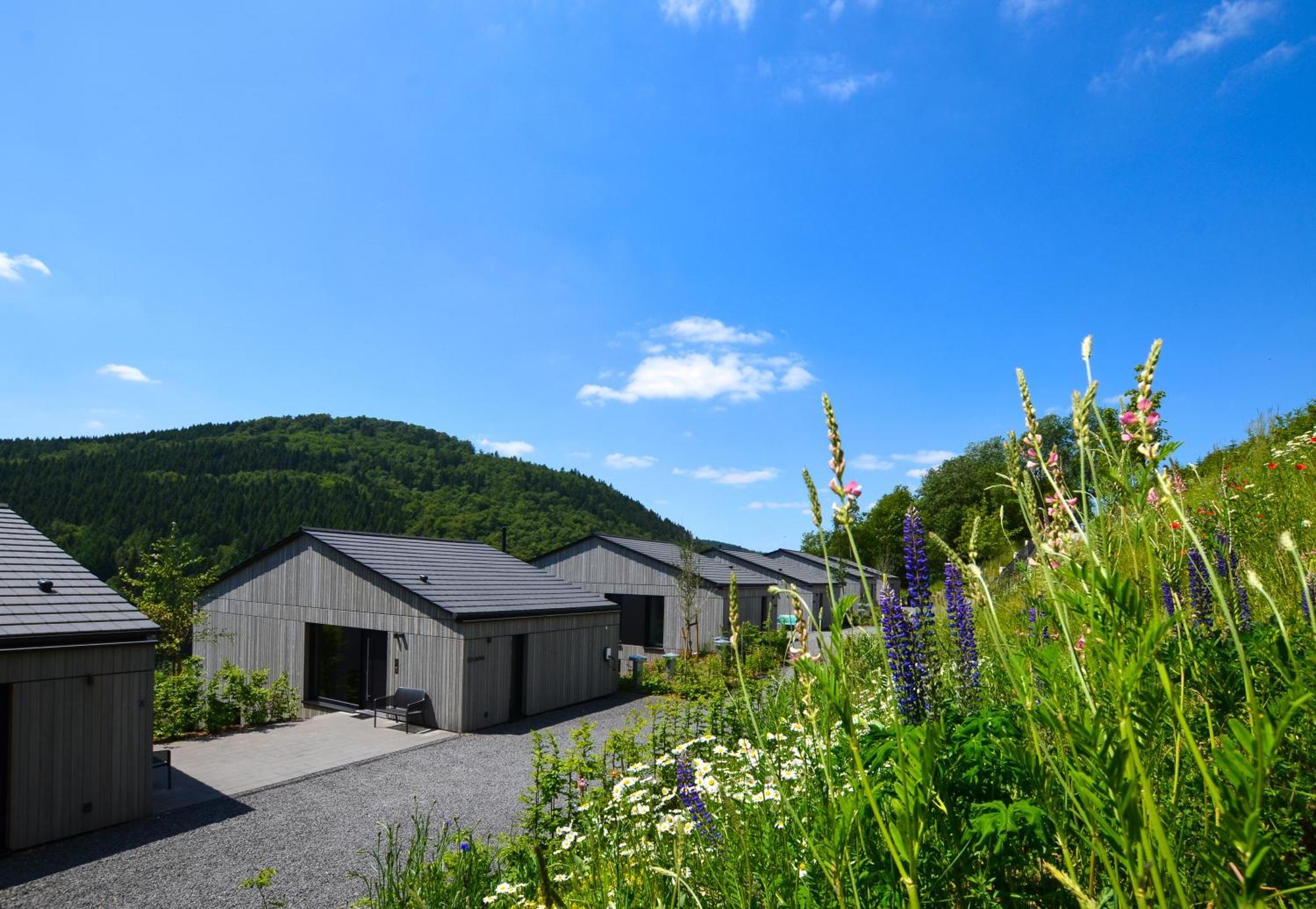Sauerland Lodge - Haus Julius Winterberg Exterior foto